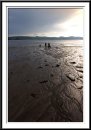 dog walkers on beach * 641 x 910 * (120KB)
